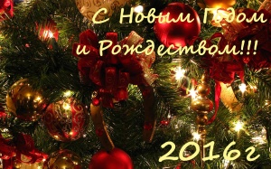Новогодние праздники!