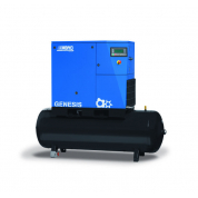 GENESIS 15 10-55/500